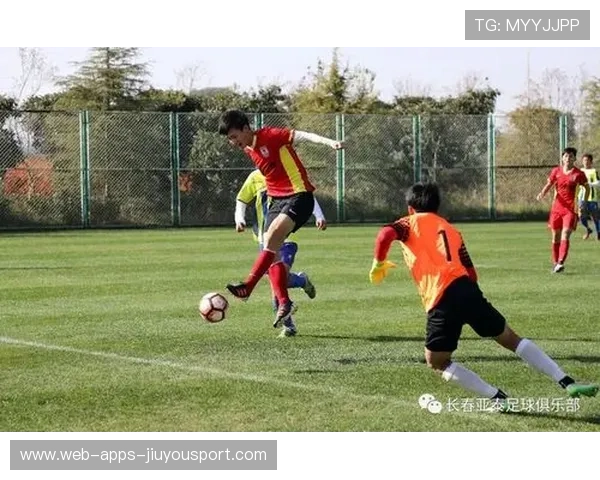 青训基地是否具备基础医护常驻机制，青训训练营是什么